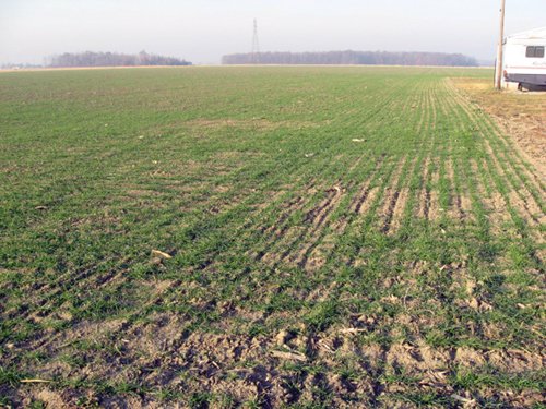 Property photo 1 - 60 Acres Offered in 2 Tracts